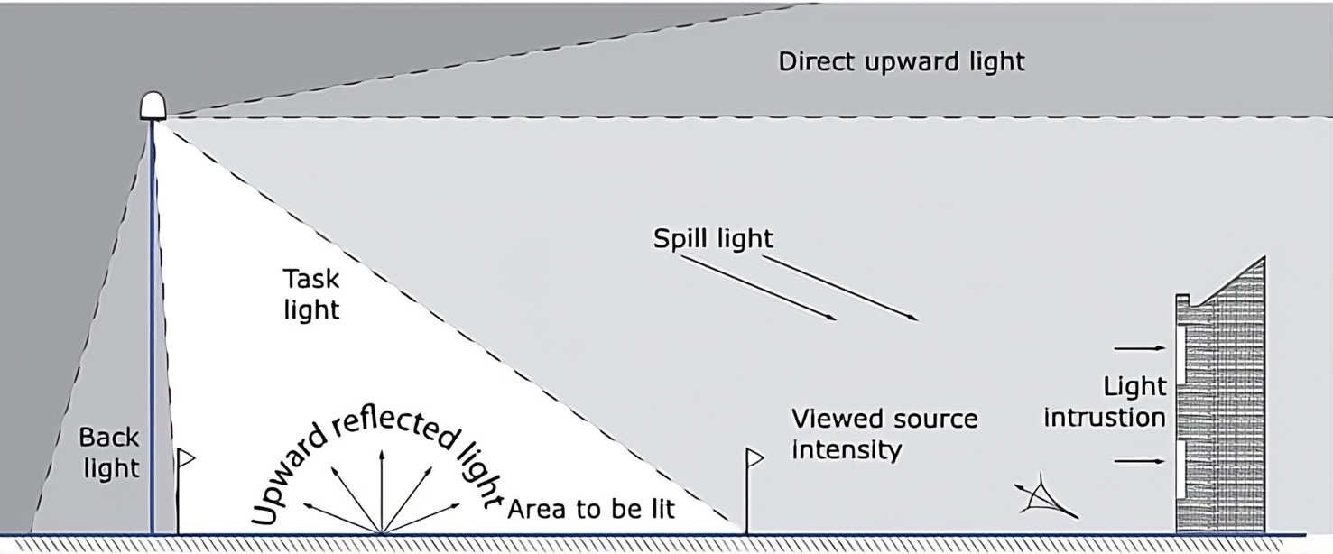 Screenshot 2026-01-15 151331